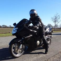 Honda cbr1100xx Blackbird