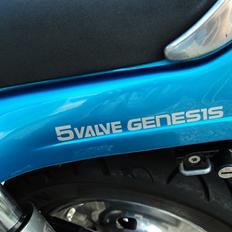 Yamaha FZX 750 FAZER