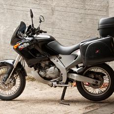 Aprilia Pegaso 650 Cube