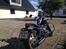 Regal Raptor DD250-9B