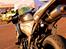 Honda CBR 600 RR -Racebike