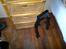 Harley Davidson Shovelhead - Min nye bredere svinger....