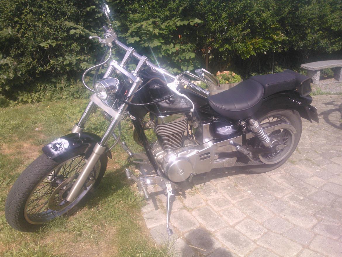 Suzuki ls 650 billede 1