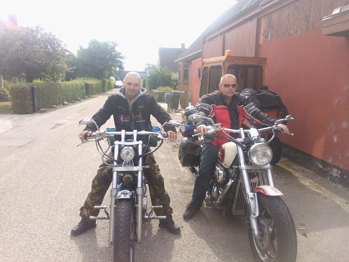 Suzuki ls 650 billede 3