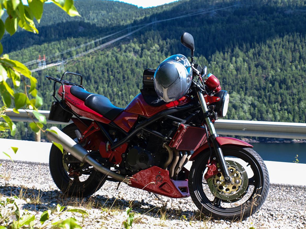Suzuki GSF Bandit 400 [SOLGT] billede 14