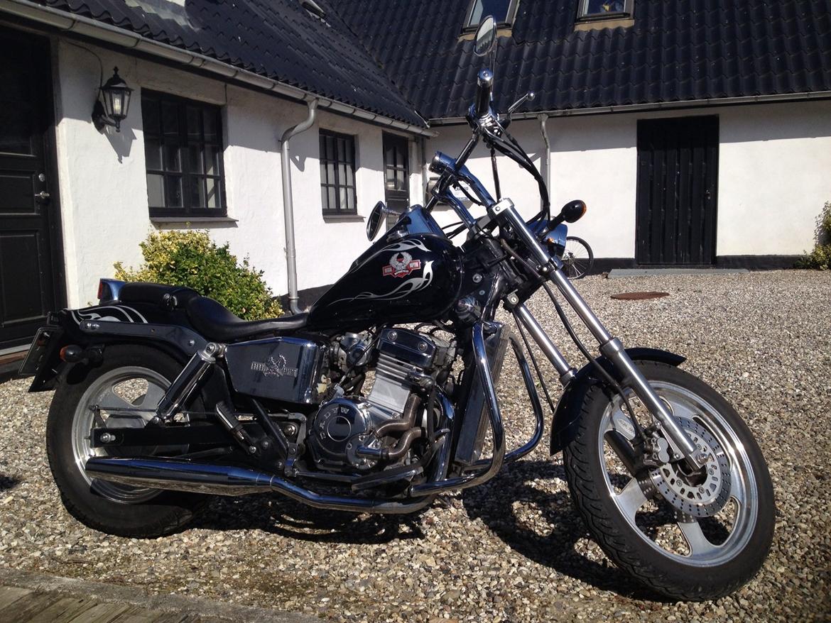 Regal Raptor DD250-9B billede 2