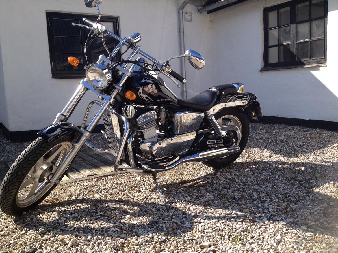 Regal Raptor DD250-9B billede 3