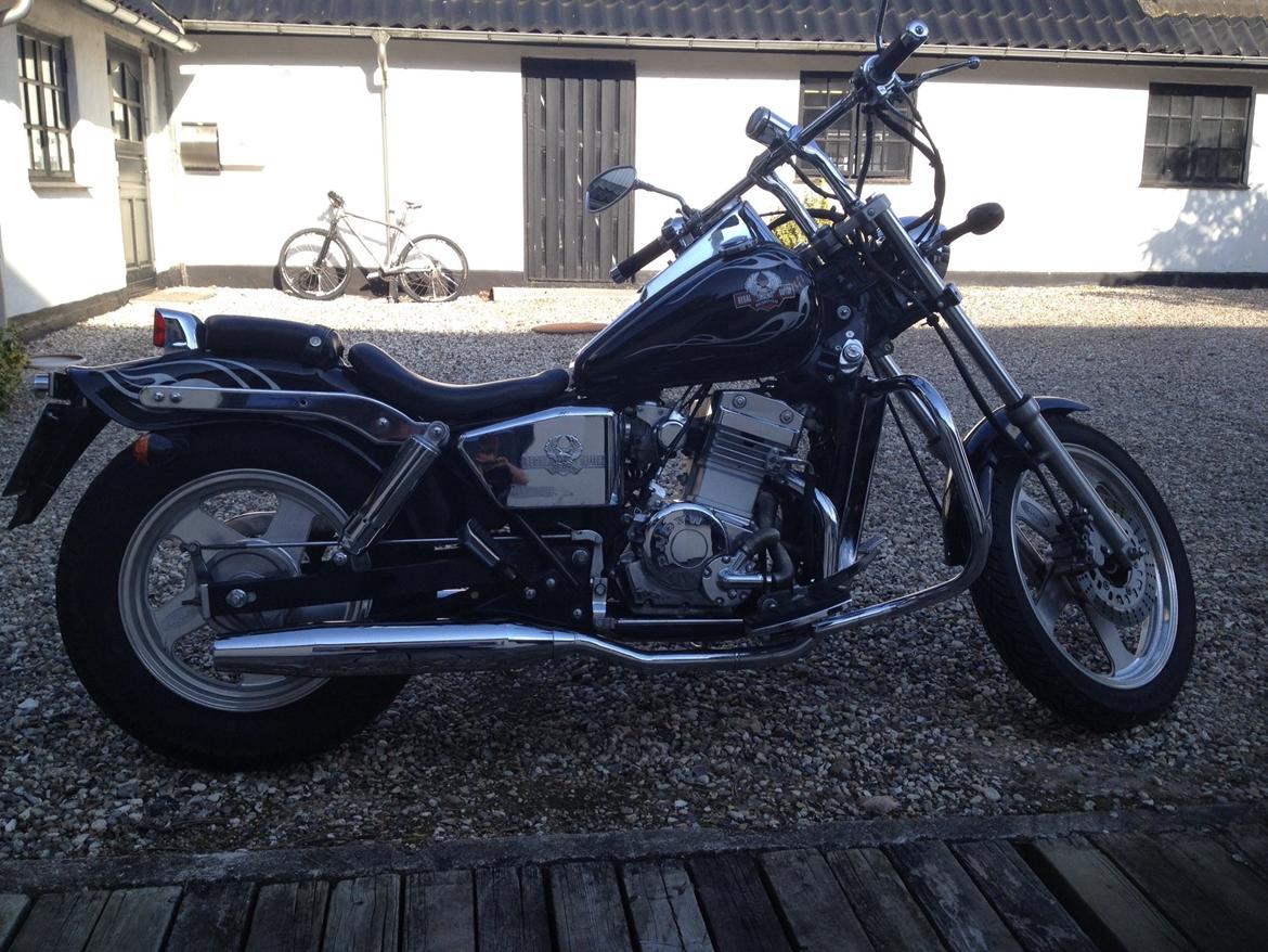 Regal Raptor DD250-9B billede 4