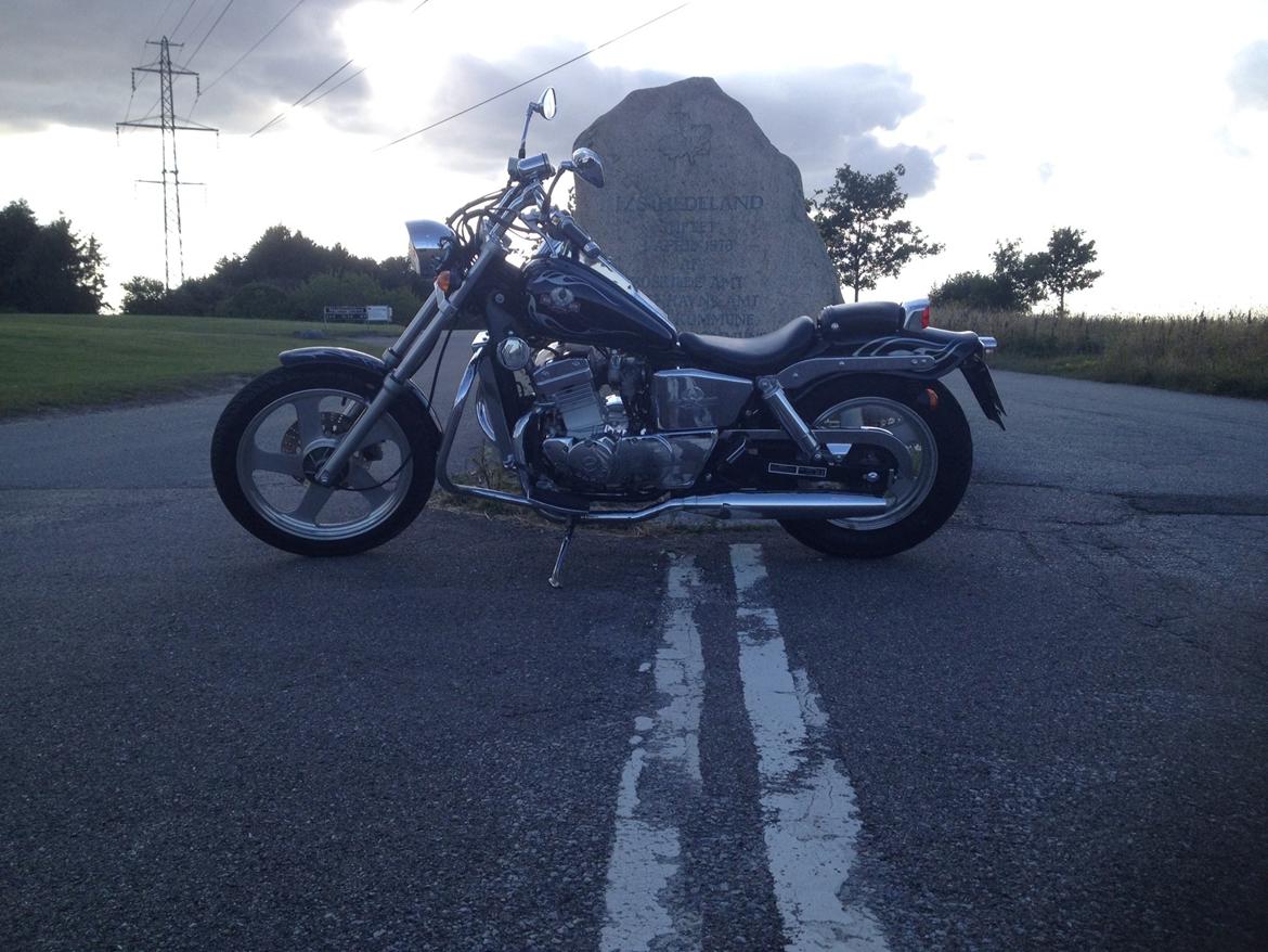 Regal Raptor DD250-9B billede 6