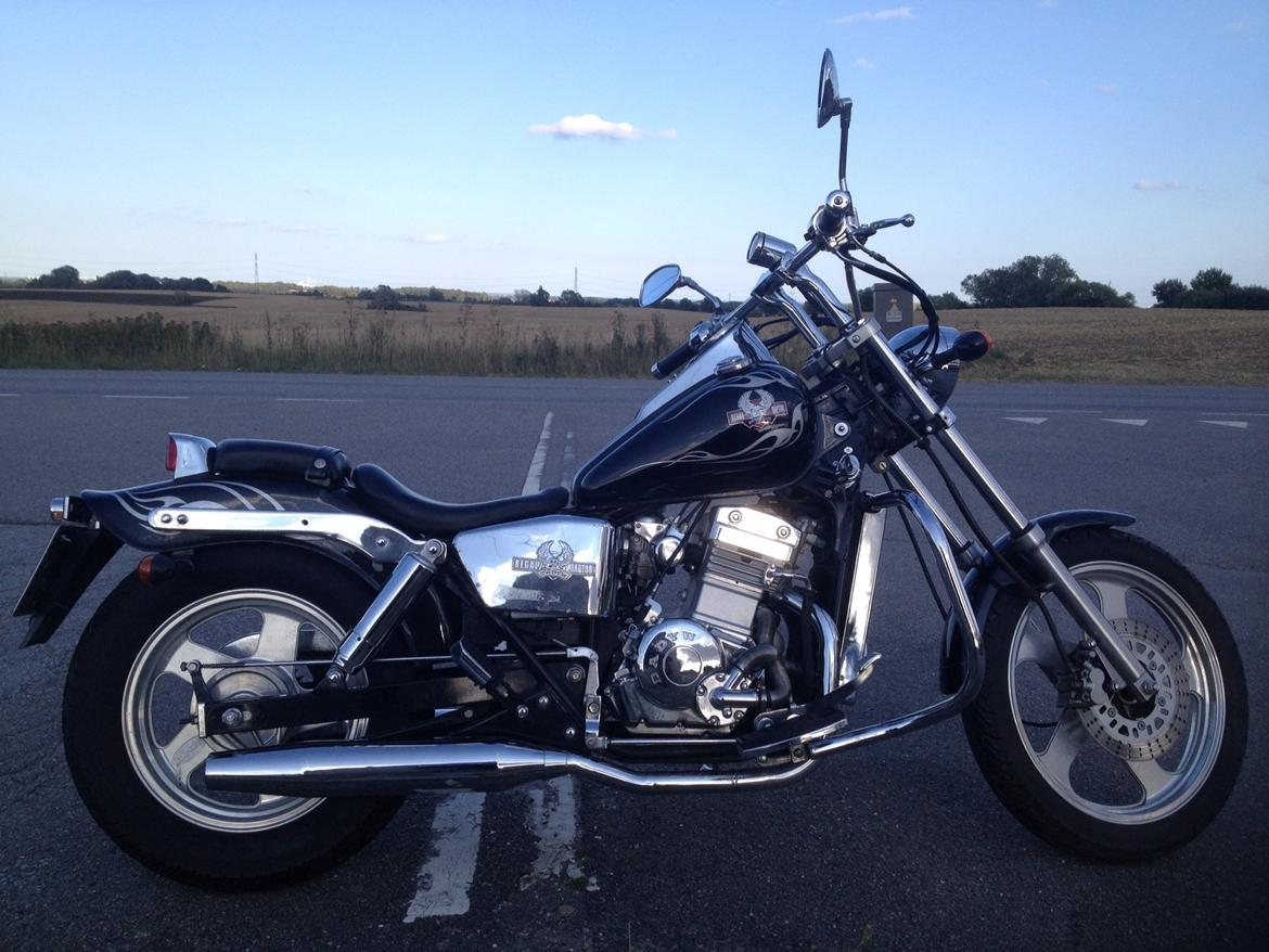 Regal Raptor DD250-9B billede 7