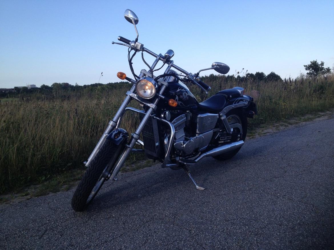 Regal Raptor DD250-9B billede 8