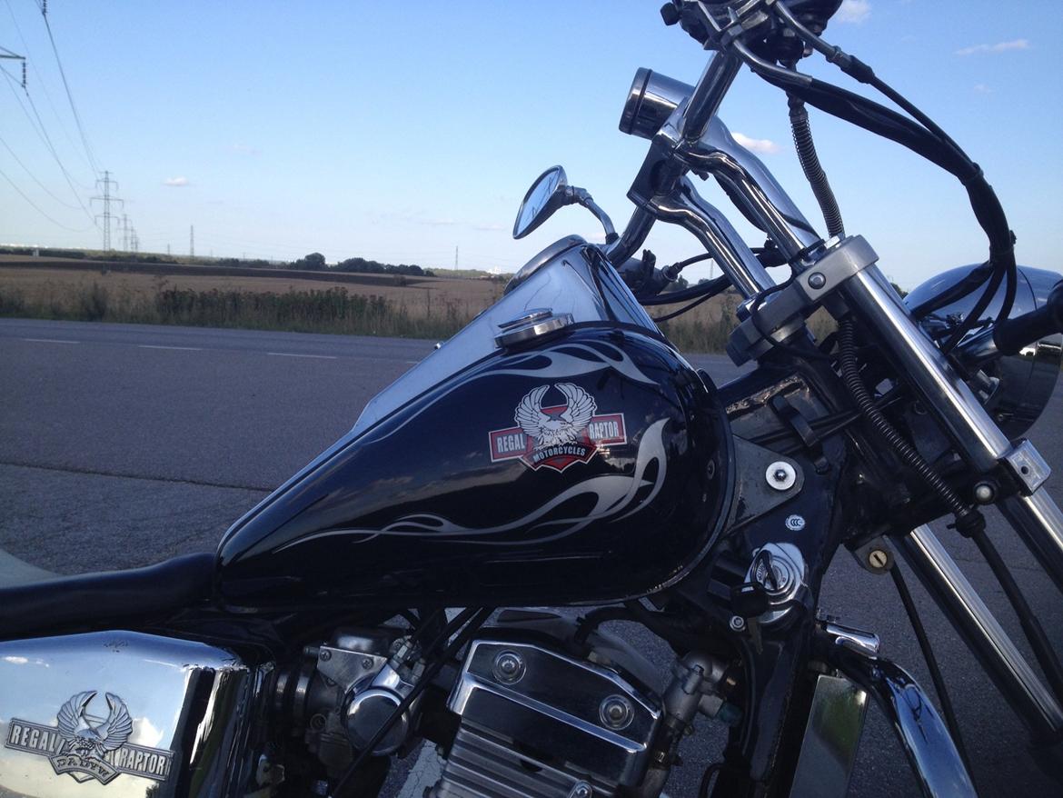 Regal Raptor DD250-9B billede 9