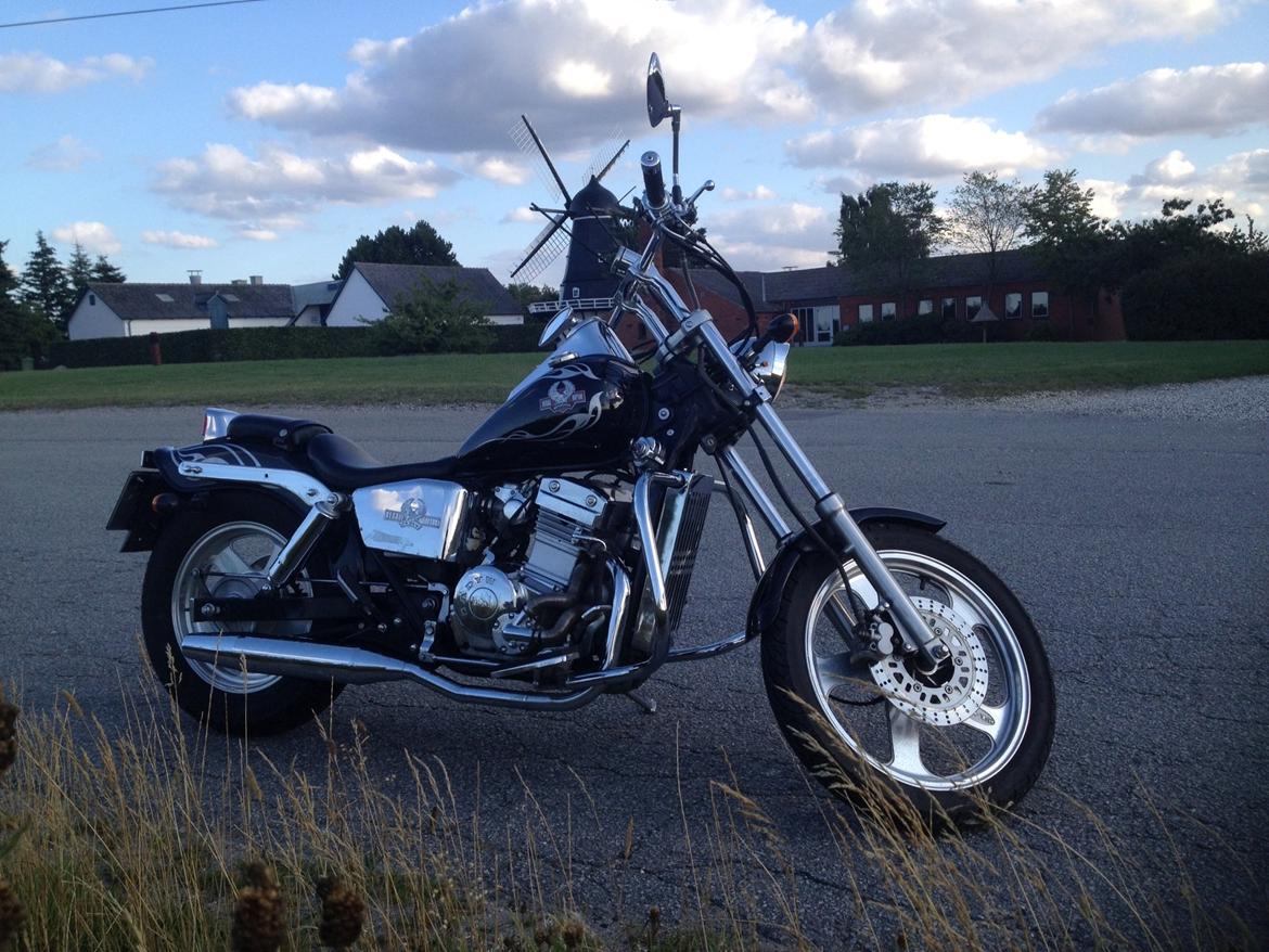 Regal Raptor DD250-9B billede 10