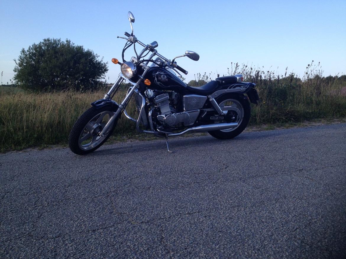 Regal Raptor DD250-9B billede 11