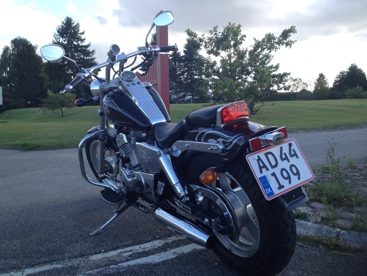 Regal Raptor DD250-9B billede 12