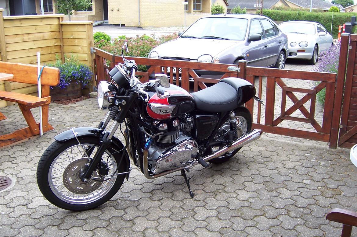 Triumph bonneville T100 billede 3