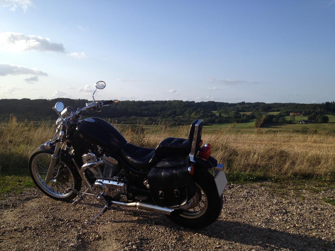 Suzuki Intruder billede 17