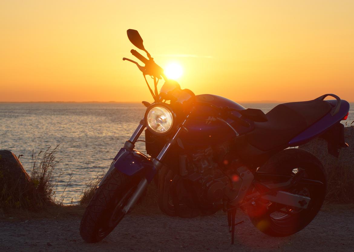 Honda CB600f Hornet billede 24