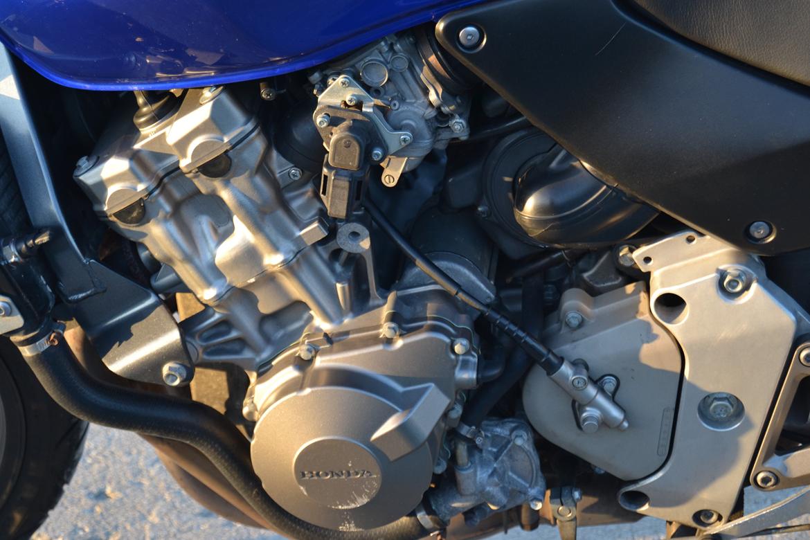 Honda CB600f Hornet billede 34