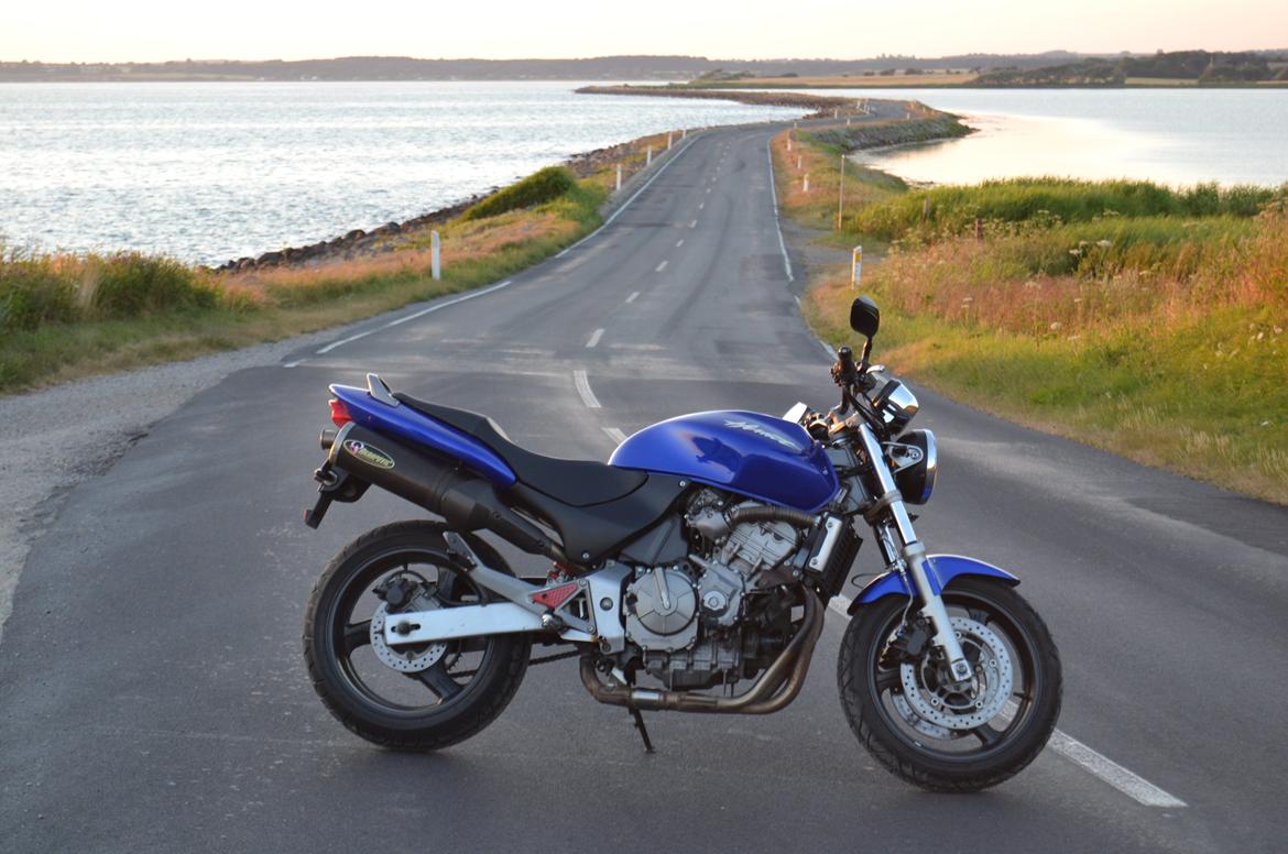 Honda CB600f Hornet billede 39