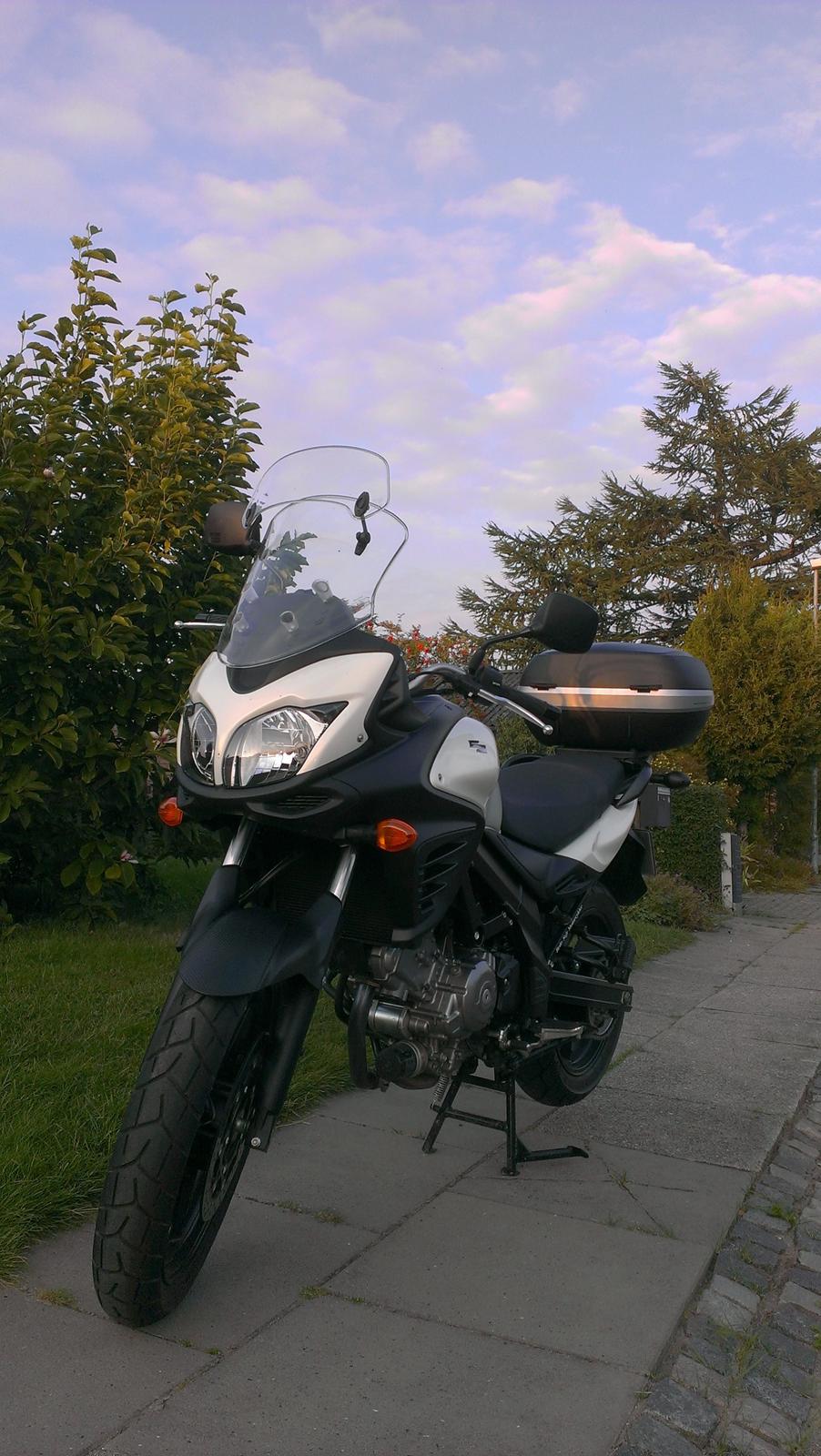 Suzuki DL650AL2 billede 1