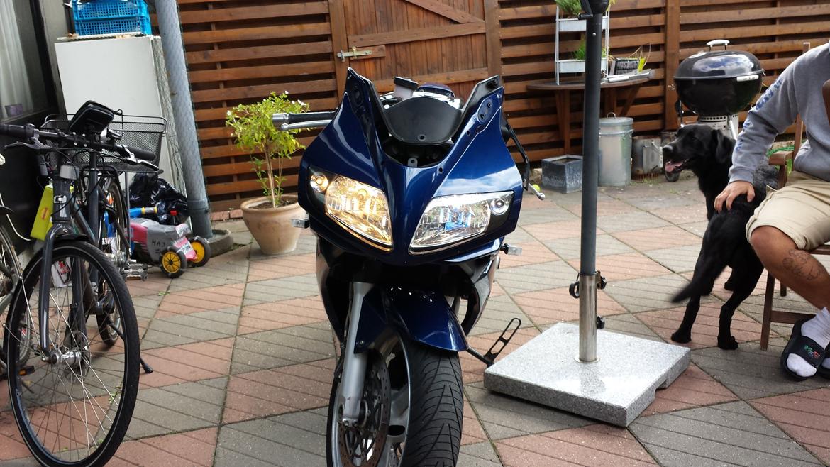 Suzuki SV1000 S billede 11