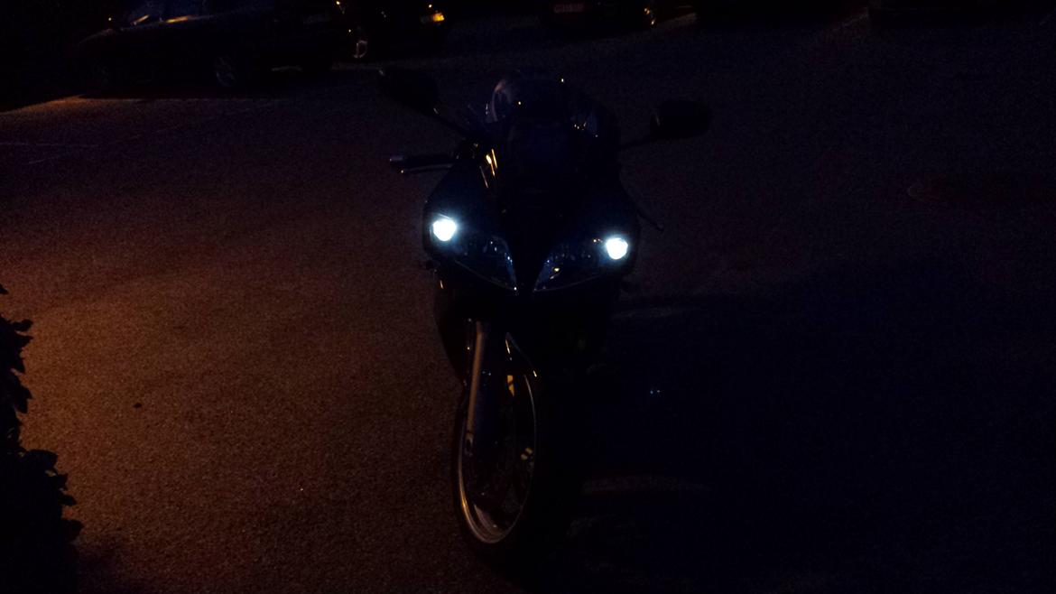 Suzuki SV1000 S billede 12