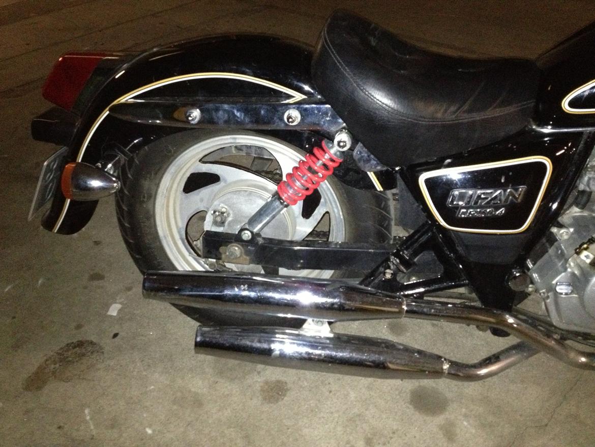 Lifan 250-4 - 24/8-13  malet  fælg billede 6