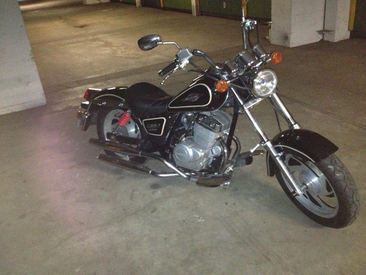 Lifan 250-4 - 24/8-13  malet  fælg billede 8