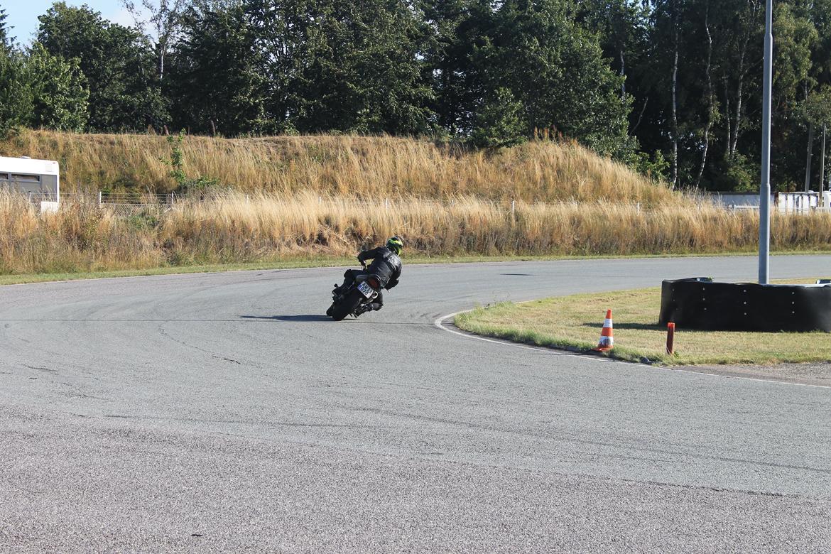 Honda CB 600 Hornet billede 10