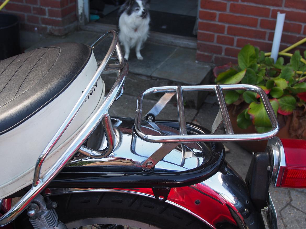 Moto Guzzi V7 850 GT - Bagagebærer med plads nok billede 16