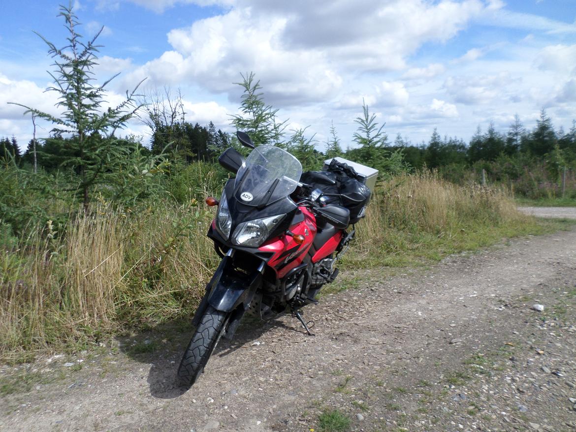 Suzuki DL 650 V-Strom billede 11