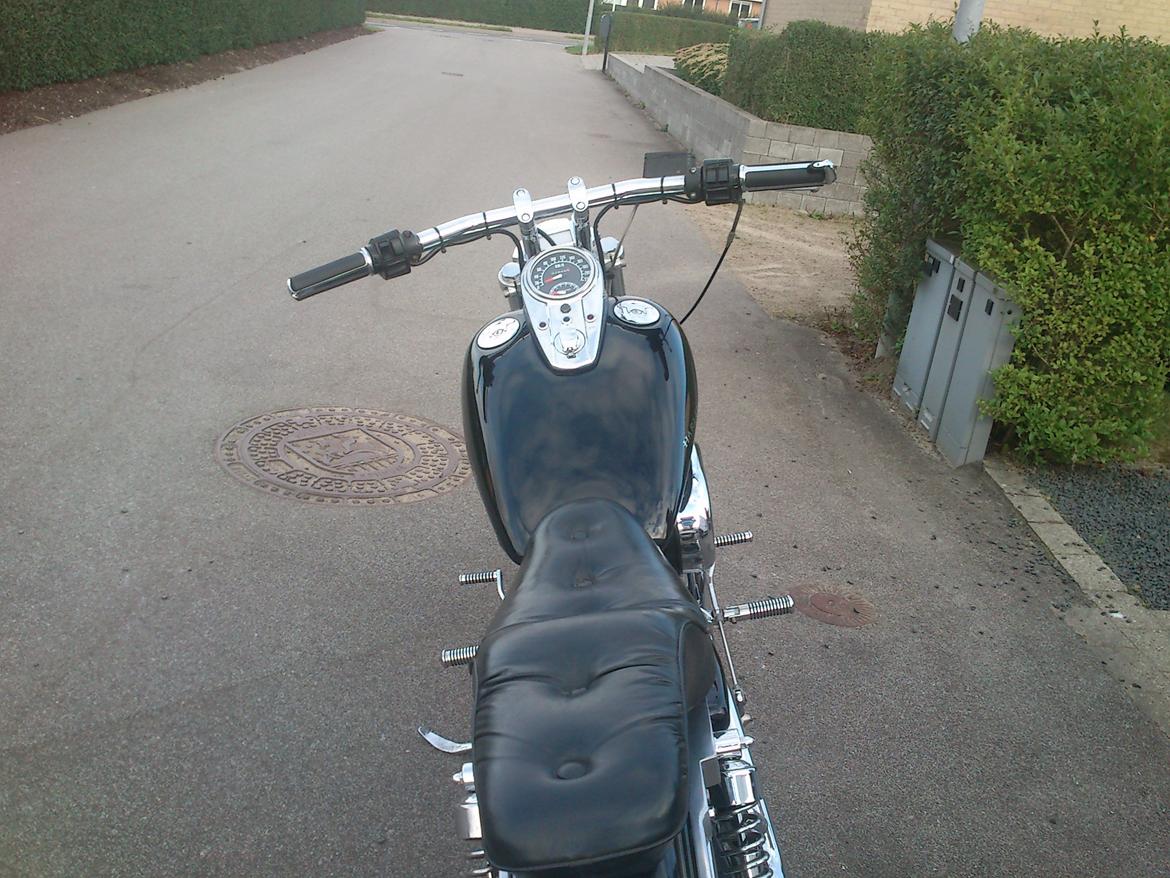 Harley Davidson XLH 1200 Sportster billede 5