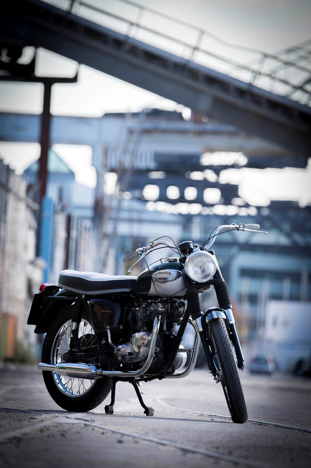 Triumph T100SS - Triumph Tiger 100
T100SS fra 1966 billede 4