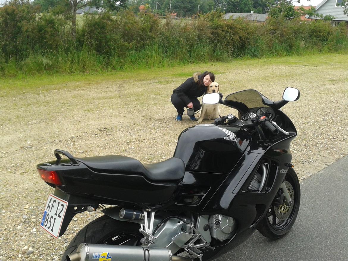 Honda CBR 600 F3 Solgt! billede 3