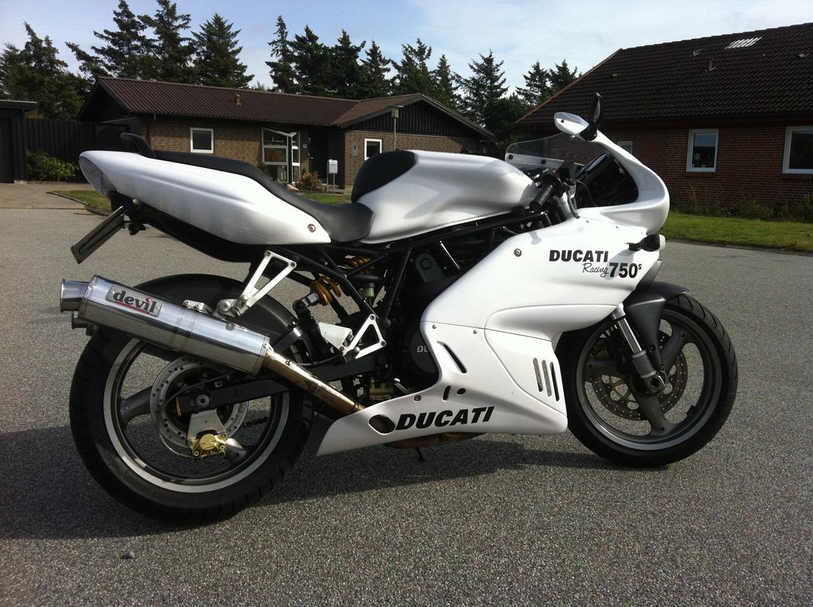 Ducati 750 sport billede 4