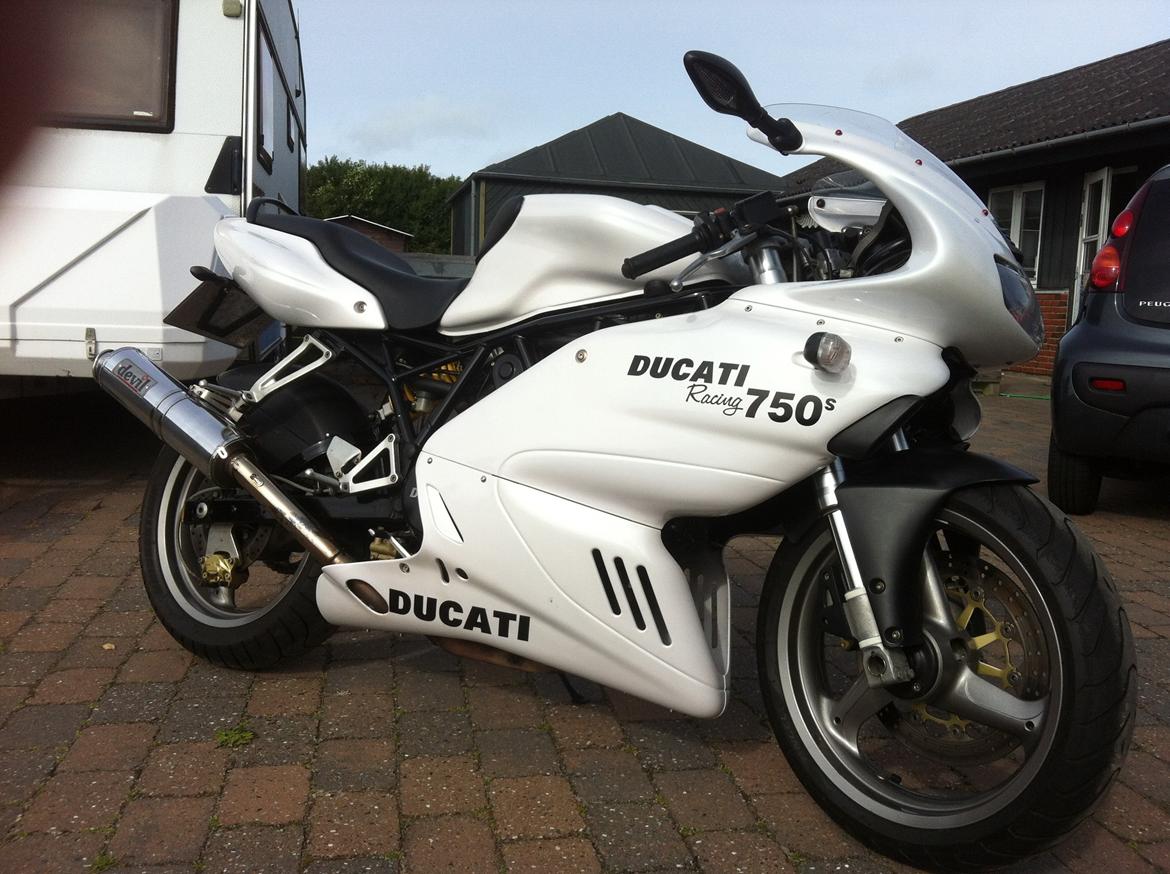Ducati 750 sport billede 10