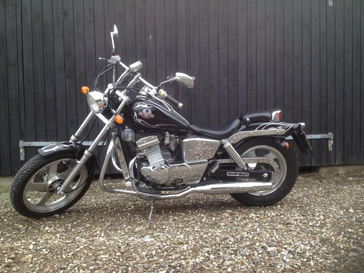 Regal Raptor DD250-9B billede 13