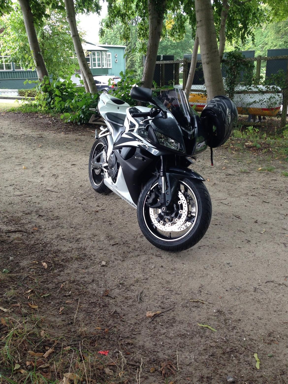 Honda Cbr 600 rr billede 6