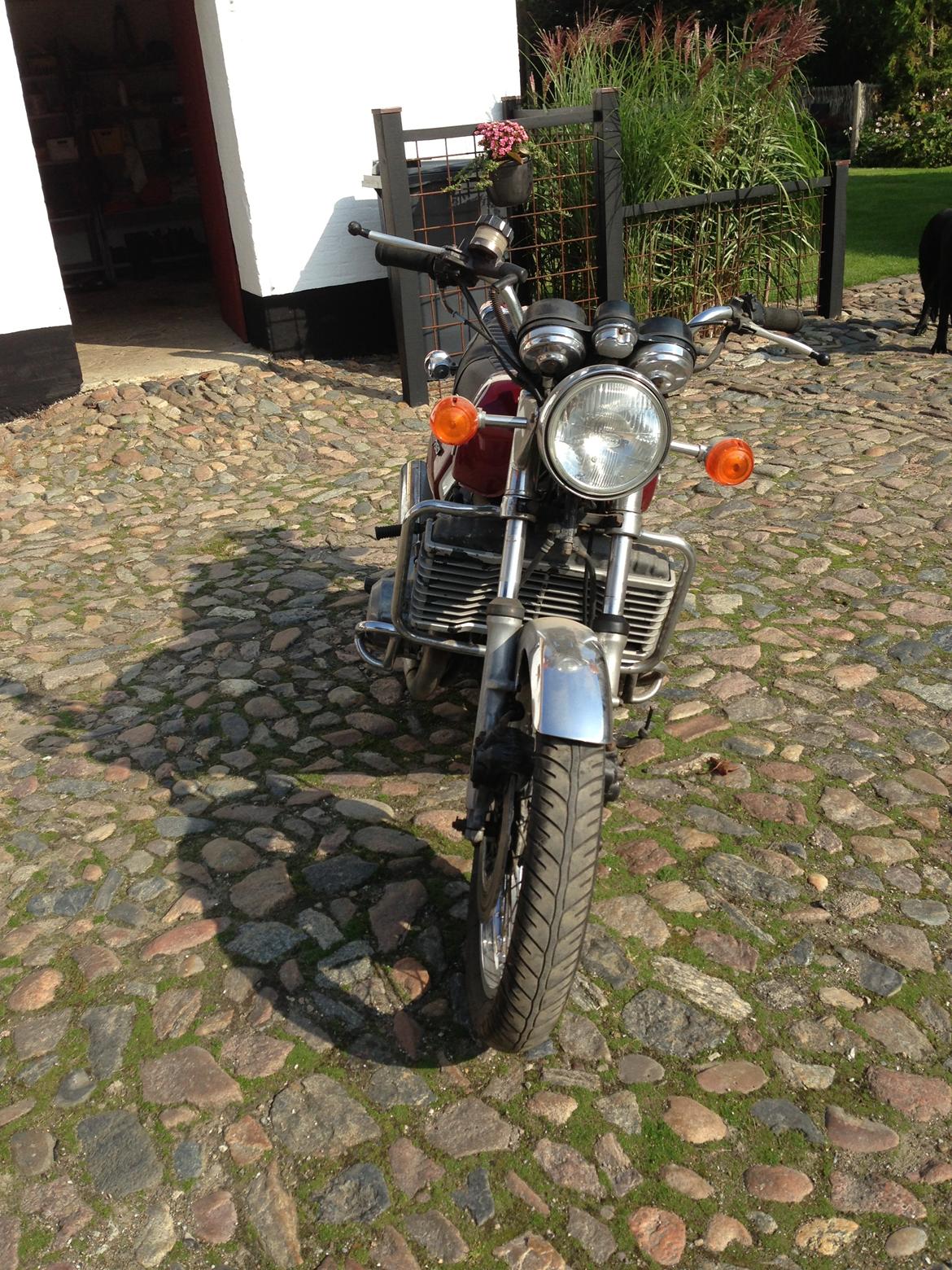 Suzuki GT 750 Vandbøffel billede 4