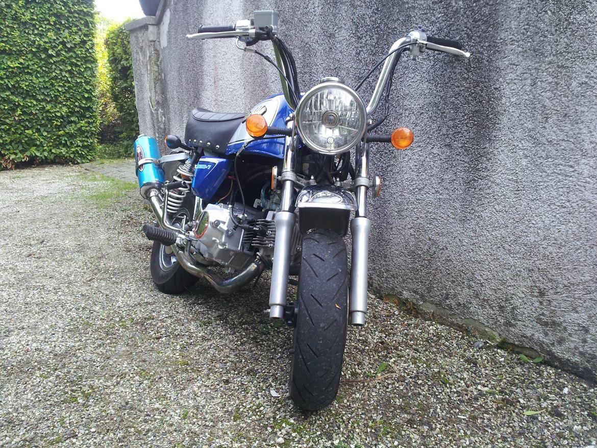 Jincheng Gorilla billede 2