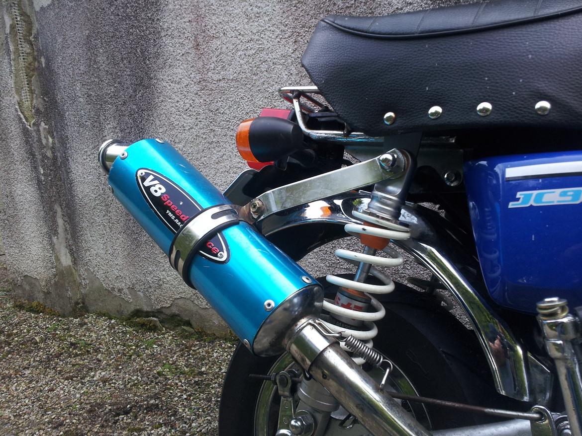 Jincheng Gorilla billede 4