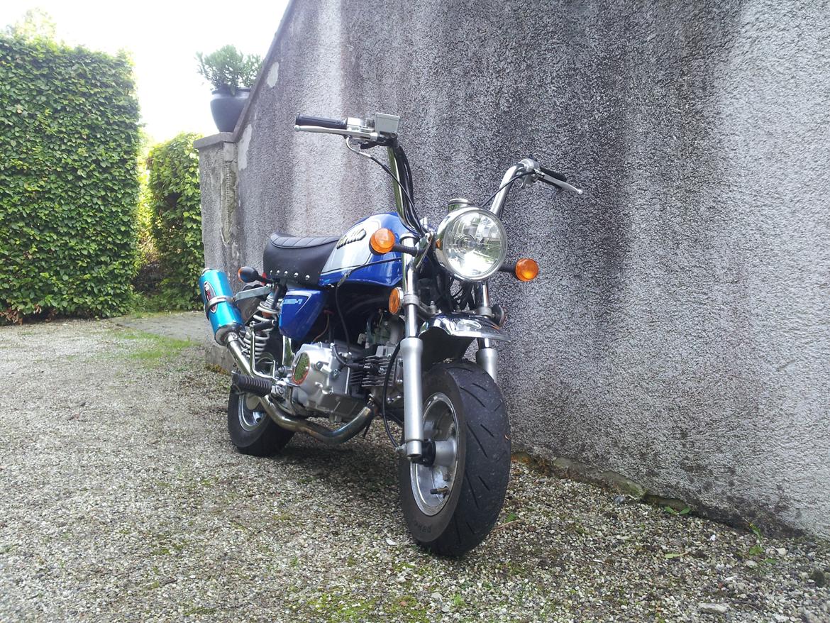 Jincheng Gorilla billede 8