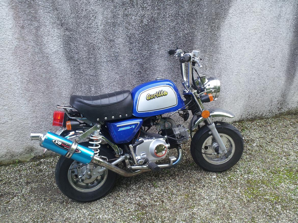 Jincheng Gorilla billede 12