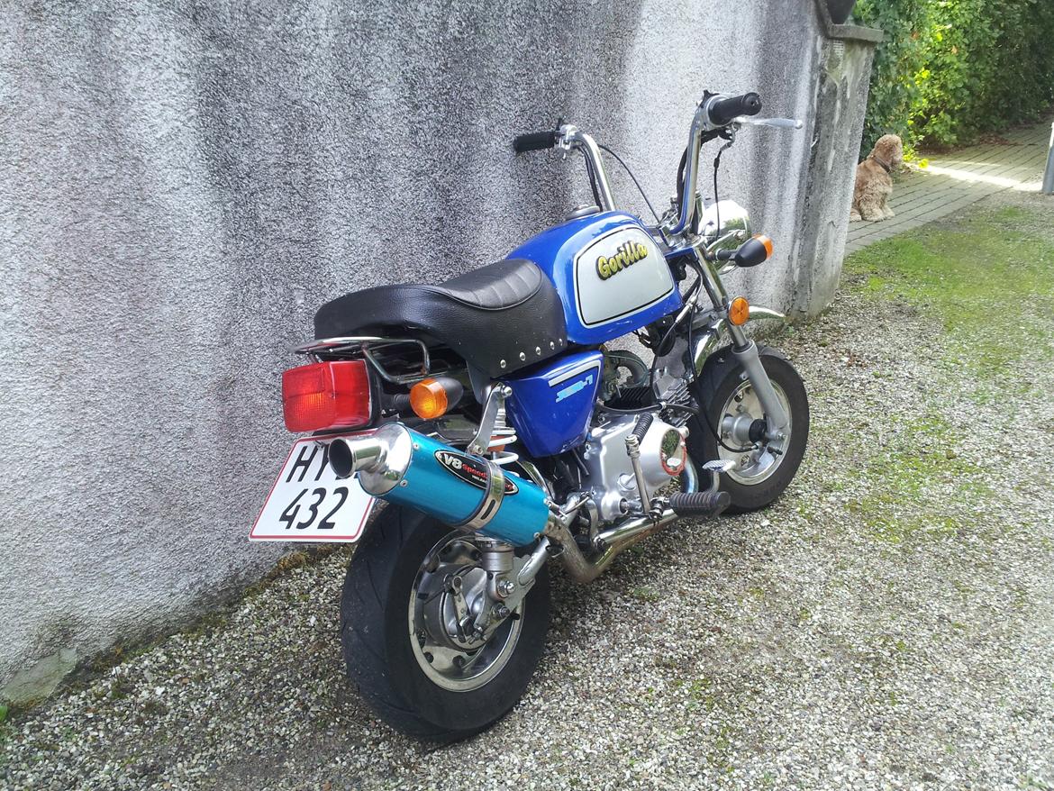 Jincheng Gorilla billede 14