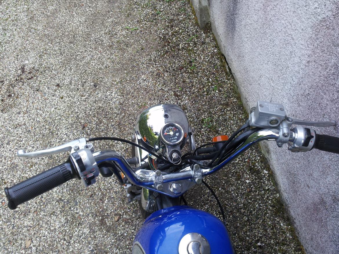 Jincheng Gorilla billede 18