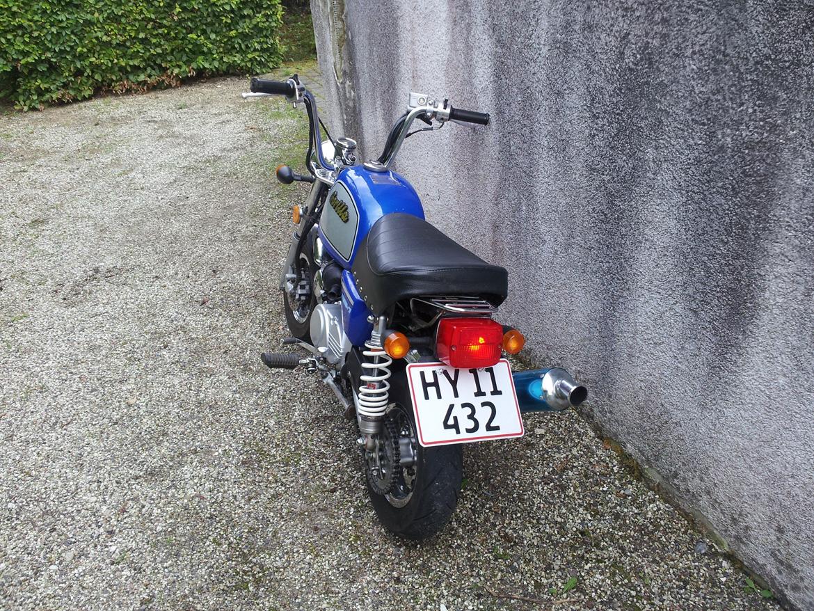 Jincheng Gorilla billede 19