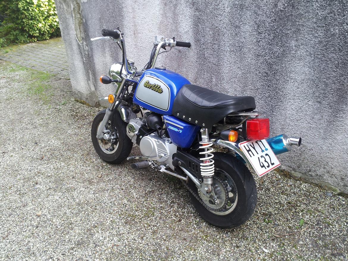 Jincheng Gorilla billede 20