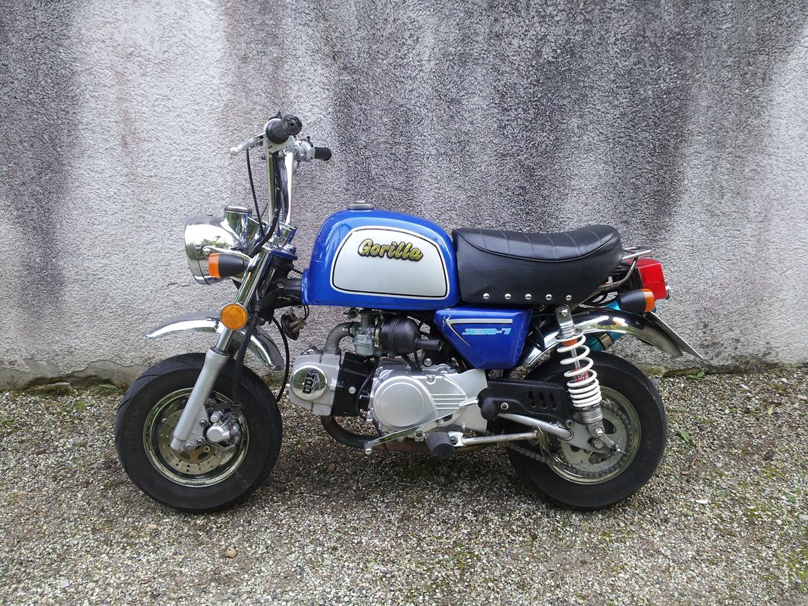 Jincheng Gorilla billede 21