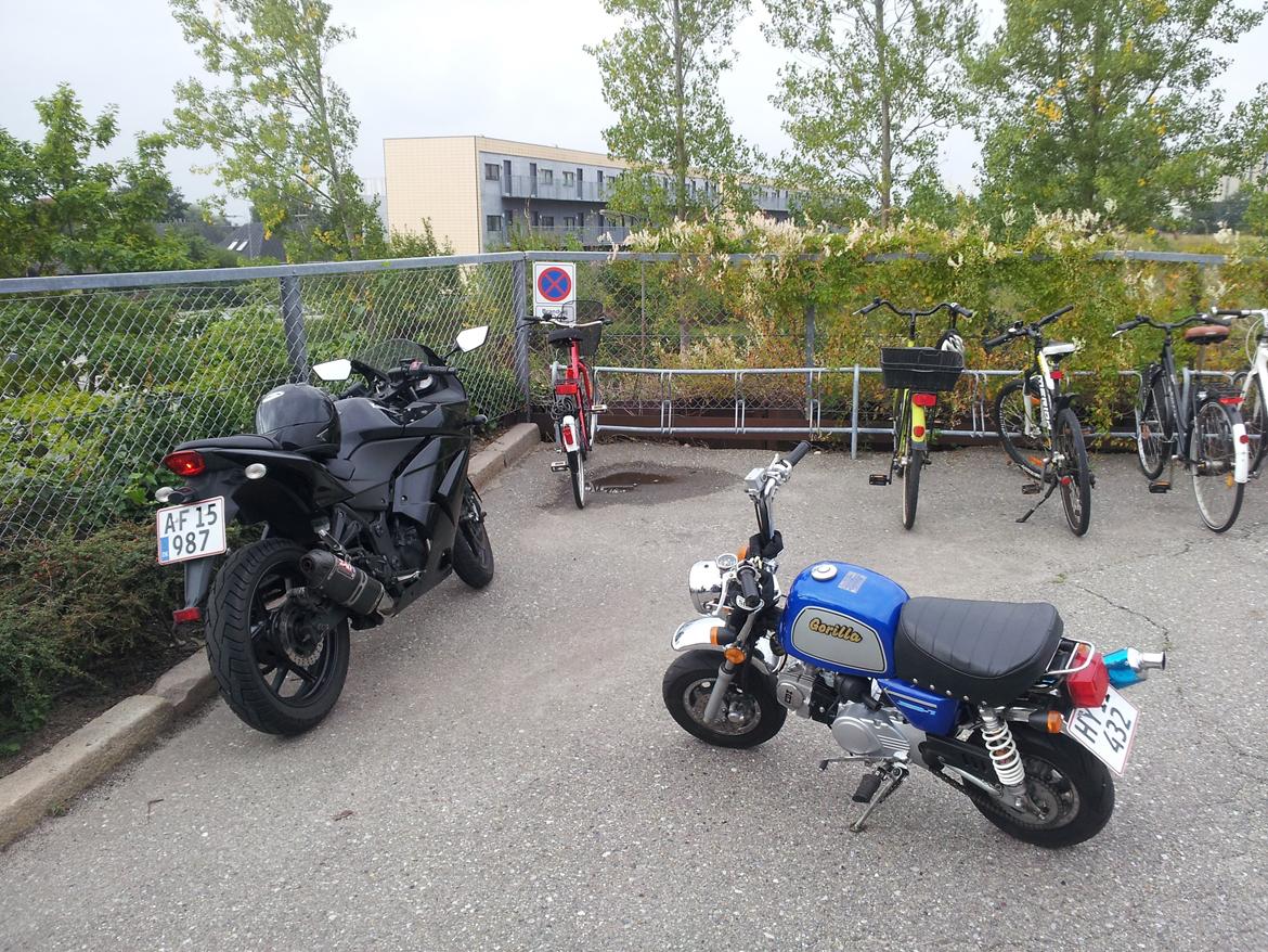 Jincheng Gorilla - Størrelsesforhold Kawasaki Ninja 250R billede 23